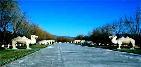 【团建旅行】后龙秘境1日团建活动